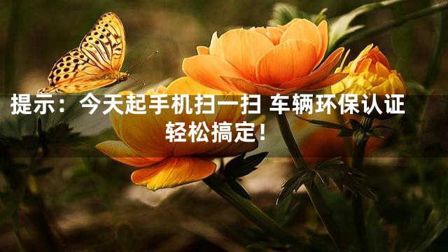 提示：今天起手机扫一扫 车辆环保认证轻松搞定！