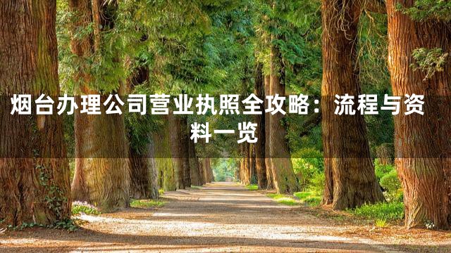 烟台办理公司营业执照全攻略：流程与资料一览