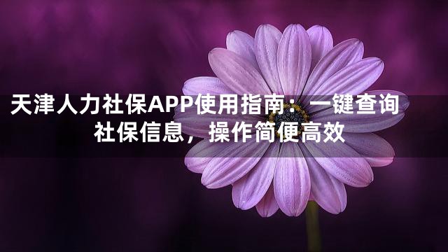 天津人力社保APP使用指南：一键查询社保信息，操作简便高效