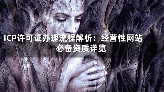 ICP许可证办理流程解析：经营性网站必备资质详览