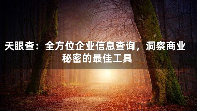 天眼查：全方位企业信息查询，洞察商业秘密的最佳工具