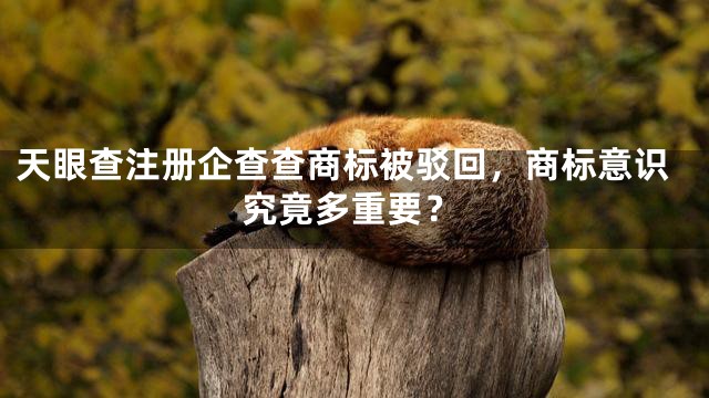 天眼查注册企查查商标被驳回，商标意识究竟多重要？