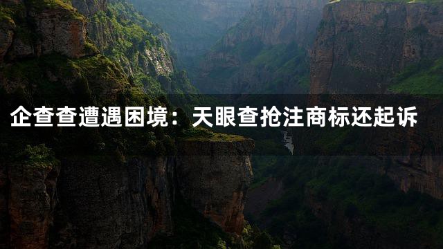 企查查遭遇困境：天眼查抢注商标还起诉