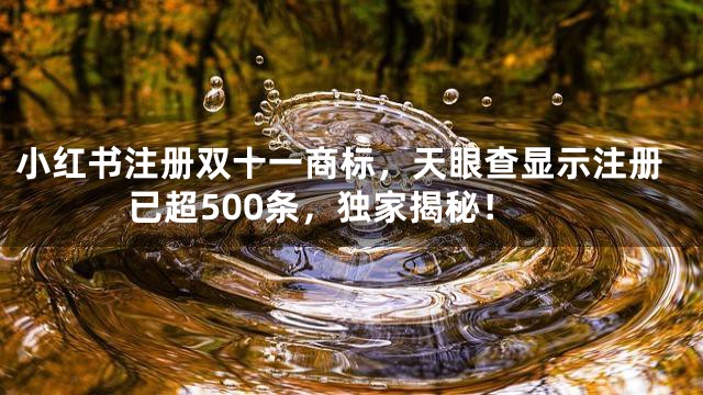小红书注册双十一商标，天眼查显示注册已超500条，独家揭秘！