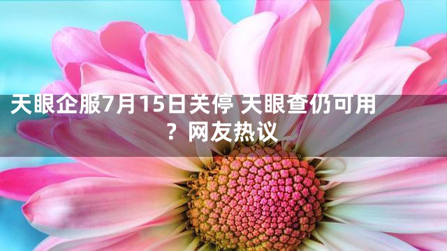 天眼企服7月15日关停 天眼查仍可用？网友热议