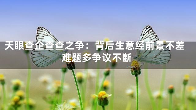天眼查企查查之争：背后生意经前景不差难题多争议不断