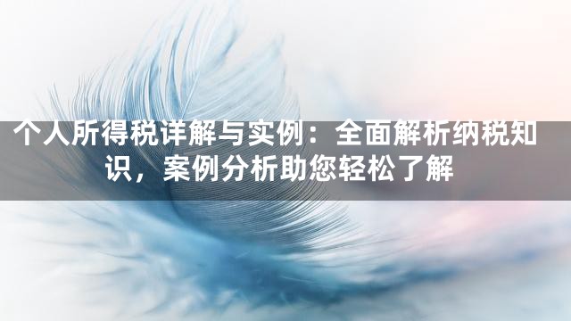 个人所得税详解与实例：全面解析纳税知识，案例分析助您轻松了解