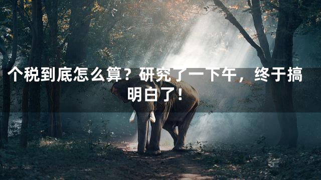 个税到底怎么算？研究了一下午，终于搞明白了！