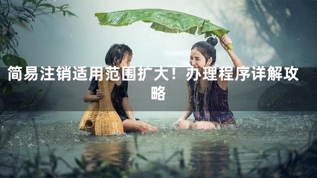 简易注销适用范围扩大！办理程序详解攻略