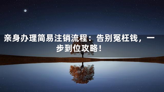 亲身办理简易注销流程：告别冤枉钱，一步到位攻略！