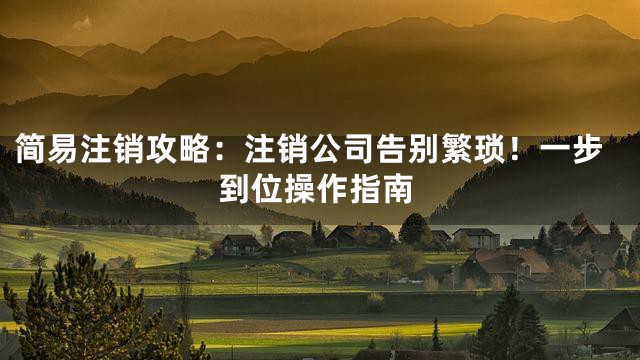简易注销攻略：注销公司告别繁琐！一步到位操作指南