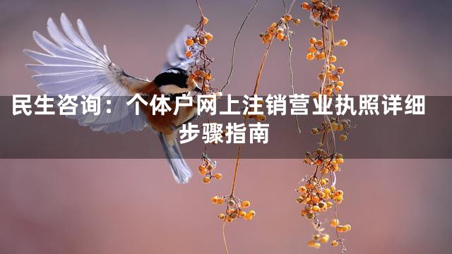 民生咨询：个体户网上注销营业执照详细步骤指南