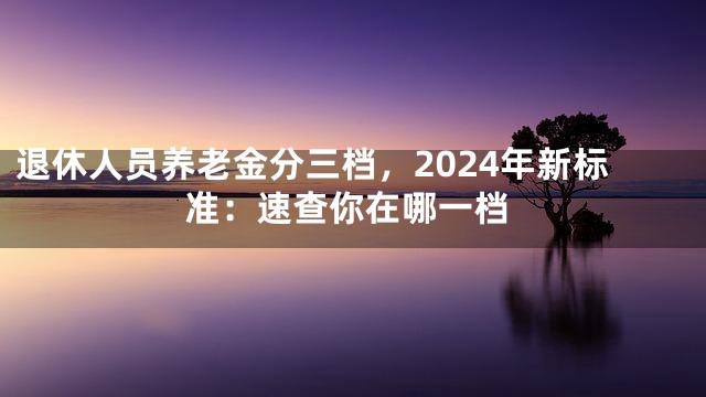 退休人员养老金分三档，2024年新标准：速查你在哪一档