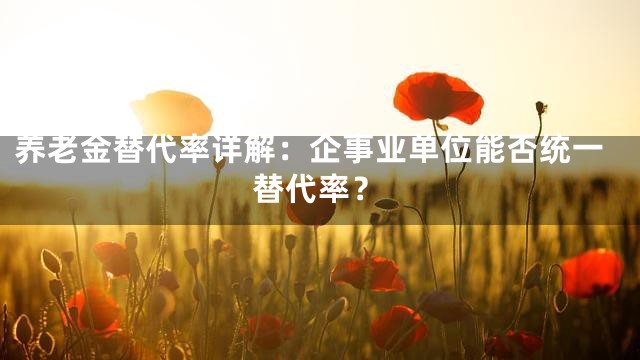 养老金替代率详解：企事业单位能否统一替代率？