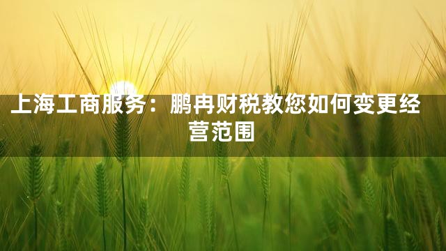 上海工商服务：鹏冉财税教您如何变更经营范围