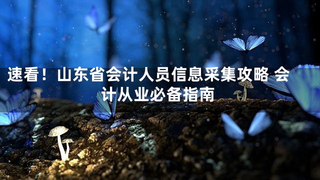 速看！山东省会计人员信息采集攻略 会计从业必备指南