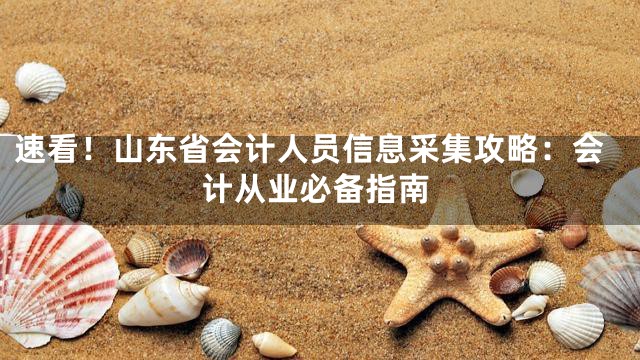 速看！山东省会计人员信息采集攻略：会计从业必备指南