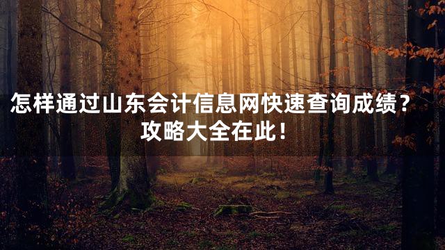 怎样通过山东会计信息网快速查询成绩？攻略大全在此！