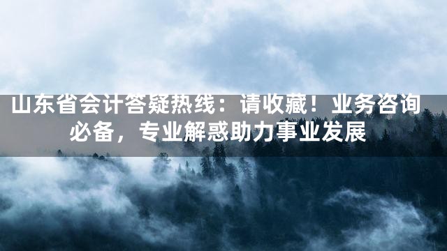 山东省会计答疑热线：请收藏！业务咨询必备，专业解惑助力事业发展
