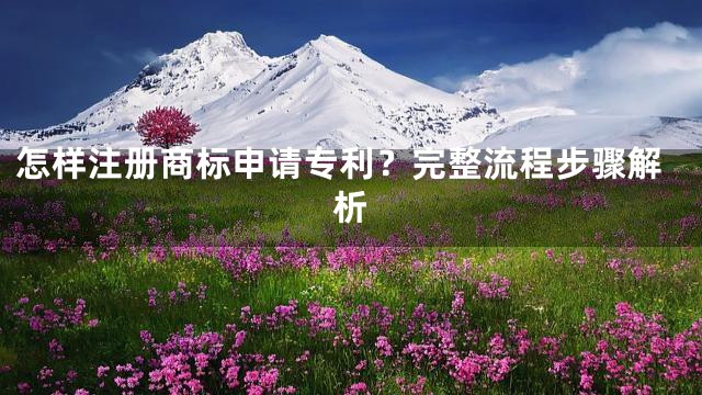 怎样注册商标申请专利？完整流程步骤解析