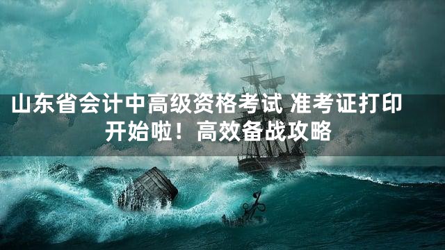 山东省会计中高级资格考试 准考证打印开始啦！高效备战攻略