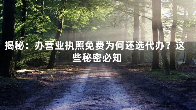 揭秘：办营业执照免费为何还选代办？这些秘密必知