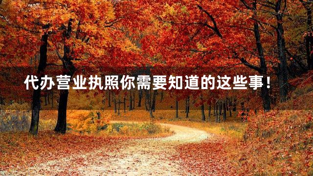 代办营业执照你需要知道的这些事！