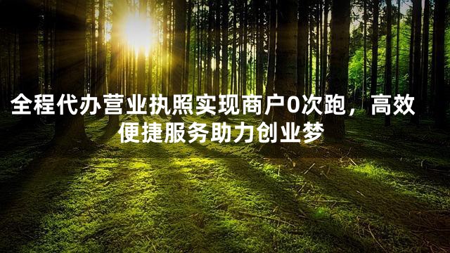 全程代办营业执照实现商户0次跑，高效便捷服务助力创业梦