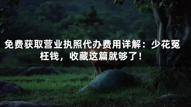 免费获取营业执照代办费用详解：少花冤枉钱，收藏这篇就够了！