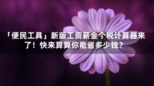 「便民工具」新版工资薪金个税计算器来了！快来算算你能省多少钱？