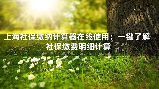 上海社保缴纳计算器在线使用：一键了解社保缴费明细计算