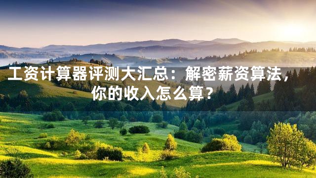 工资计算器评测大汇总：解密薪资算法，你的收入怎么算？