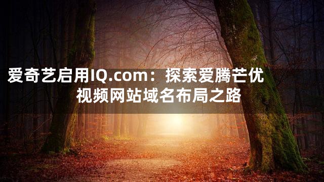 爱奇艺启用IQ.com：探索爱腾芒优视频网站域名布局之路