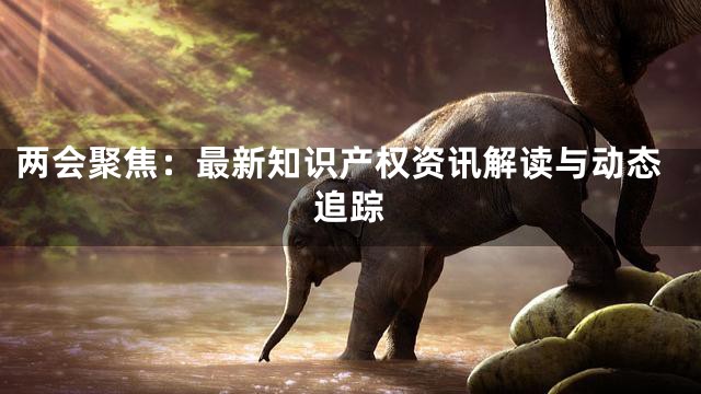 两会聚焦：最新知识产权资讯解读与动态追踪