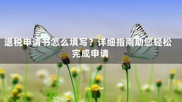 退税申请书怎么填写？详细指南助您轻松完成申请