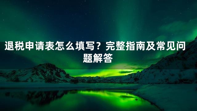 退税申请表怎么填写？完整指南及常见问题解答