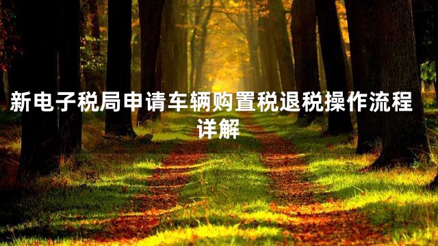 新电子税局申请车辆购置税退税操作流程详解