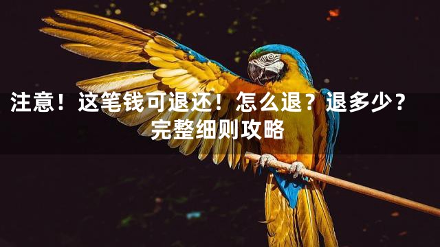 注意！这笔钱可退还！怎么退？退多少？完整细则攻略
