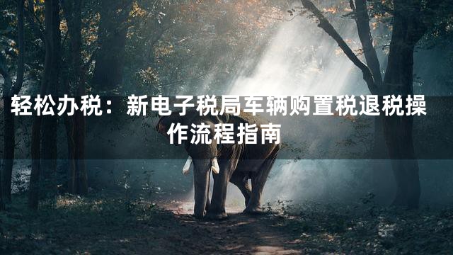 轻松办税：新电子税局车辆购置税退税操作流程指南