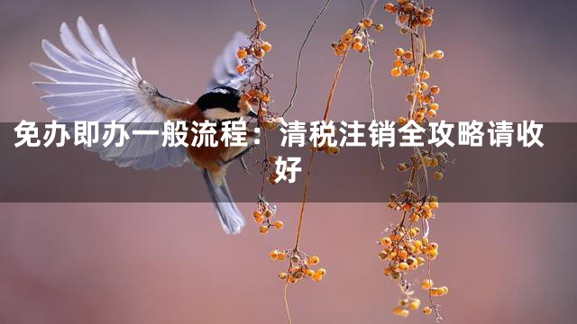 免办即办一般流程：清税注销全攻略请收好