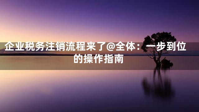 企业税务注销流程来了@全体：一步到位的操作指南