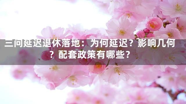 三问延迟退休落地：为何延迟？影响几何？配套政策有哪些？