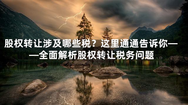 股权转让涉及哪些税？这里通通告诉你——全面解析股权转让税务问题