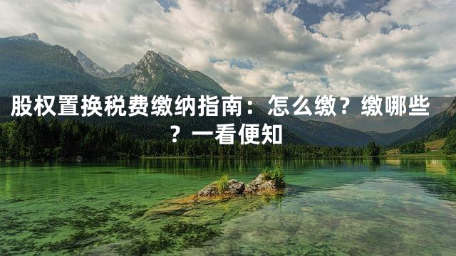 股权置换税费缴纳指南：怎么缴？缴哪些？一看便知