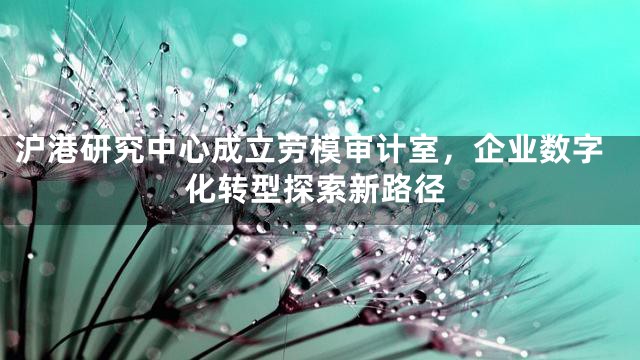 沪港研究中心成立劳模审计室，企业数字化转型探索新路径