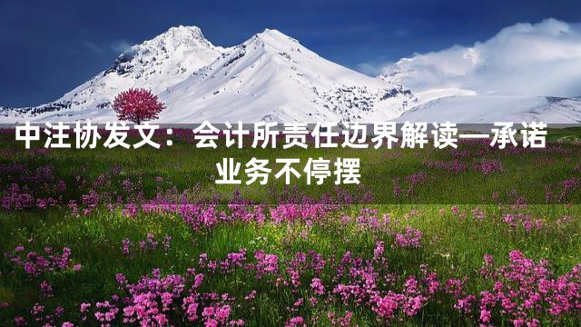 中注协发文：会计所责任边界解读—承诺业务不停摆