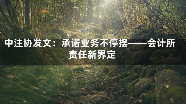 中注协发文：承诺业务不停摆——会计所责任新界定