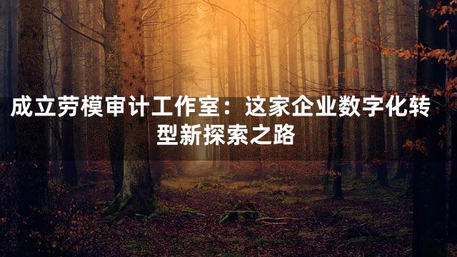 成立劳模审计工作室：这家企业数字化转型新探索之路