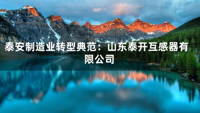 泰安制造业转型典范：山东泰开互感器有限公司