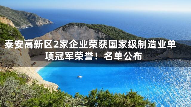泰安高新区2家企业荣获国家级制造业单项冠军荣誉！名单公布